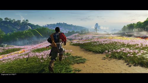 Ghost of Tsushima Director’s Cut  - PS5