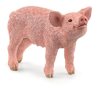 1505