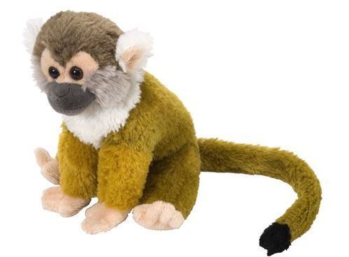 1505