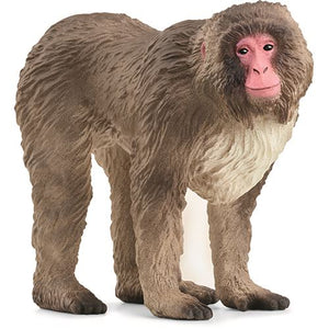 1505