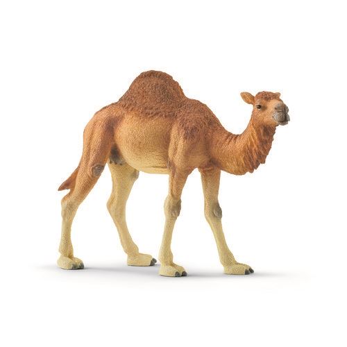 1505