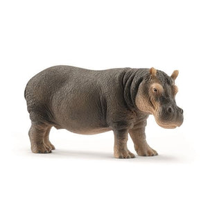 1505