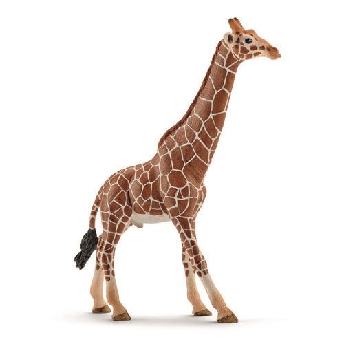 1505