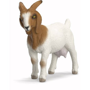 1505