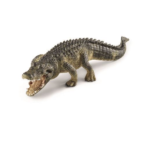 1505