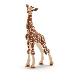 1505