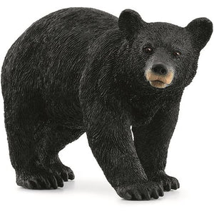 1505