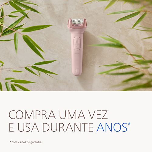 1520