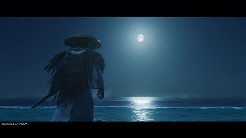 Ghost of Tsushima Director’s Cut - PS4