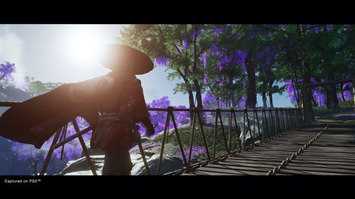 Ghost of Tsushima Director’s Cut - PS4