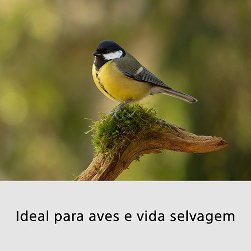 1520