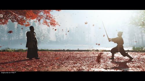 Ghost of Tsushima Director’s Cut - PS4