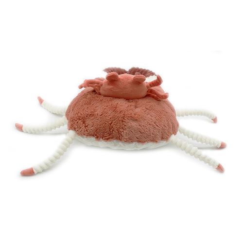 1520