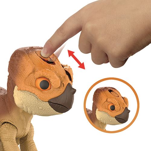 1543