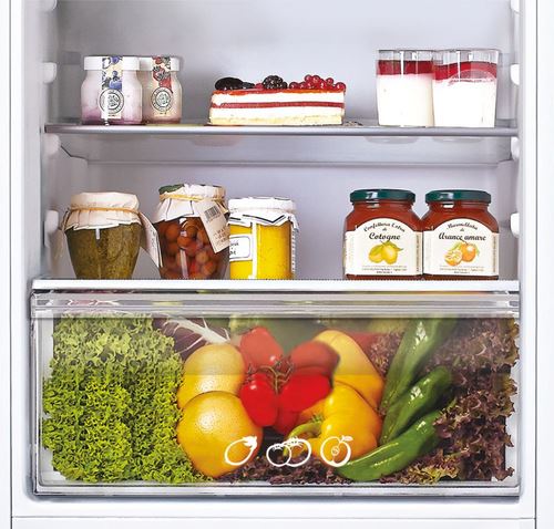 Frigorífico Combinado Encastrável Candy CKBBS 100/1 | 176,9x54x54,5 cm | 190 L | F | Branco