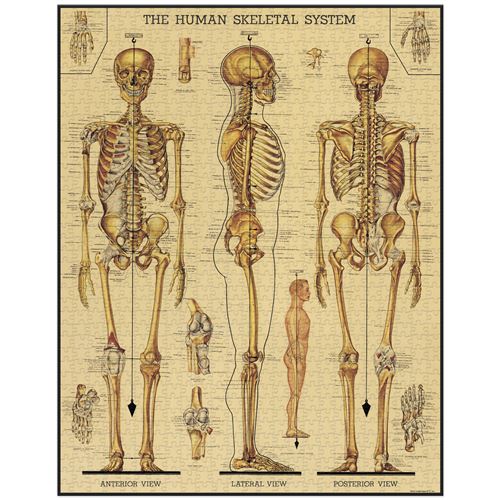 1520