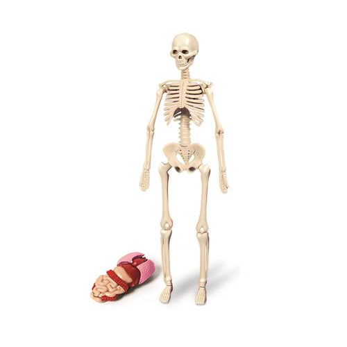 1541