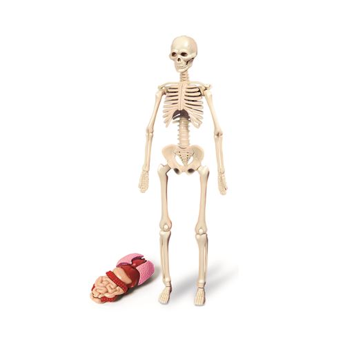 1541