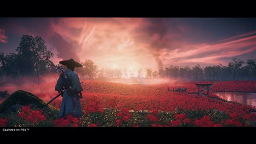 Ghost of Tsushima Director’s Cut - PS4