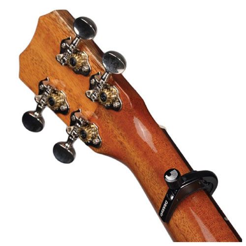 1543