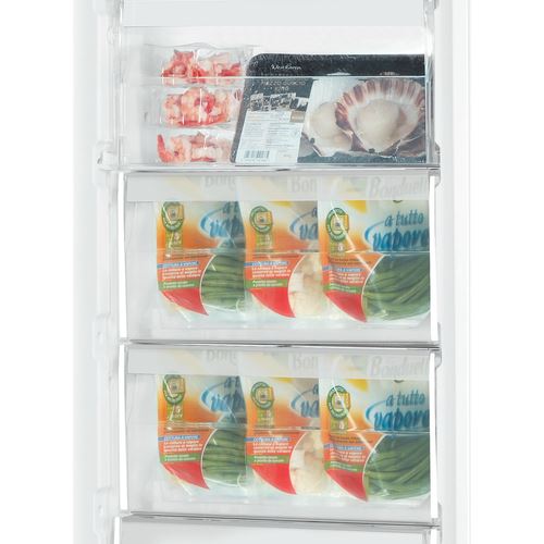Arca Congeladora Vertical Hotpoint UH8 F1C W 1 | 187,5x59,5x63 cm | 263 L | F | Branco