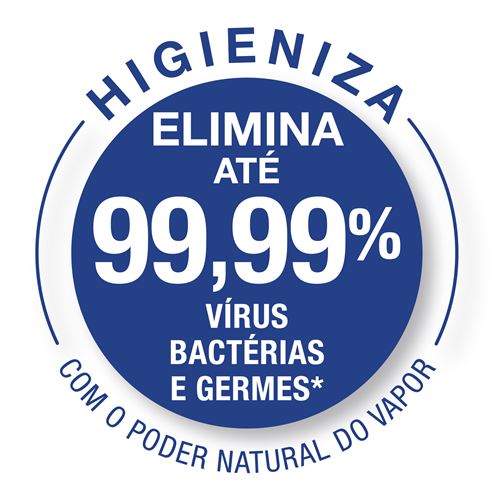 Ferro de Caldeira Rowenta Silence Steam Pro - DG9226F0 | Potência: 2800 W