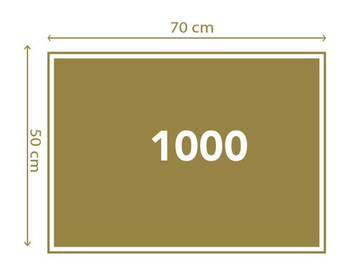 1543