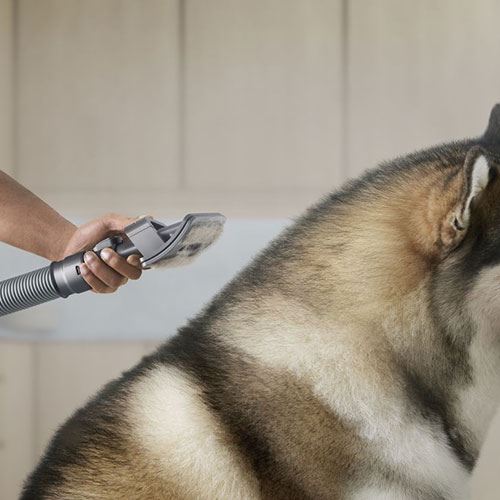1520