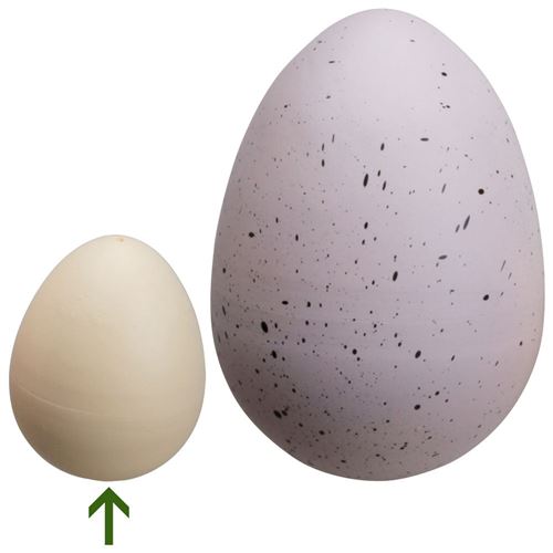 1543