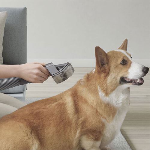 1541