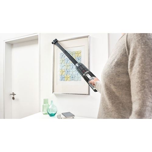 Aspirador Vertical Bosch Serie 4 Flexxo 28 Vmax Pro Animal BBH3ZOO28 - Vermelho