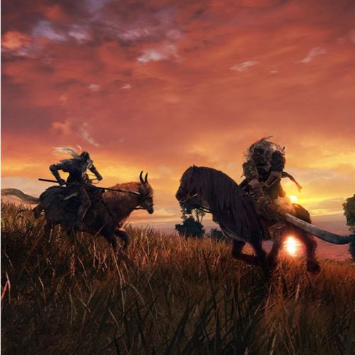 Elden Ring Standard Edition - PS4