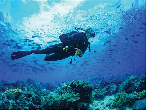 1520