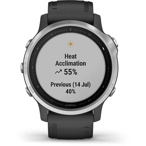 Relógio Desporto Garmin Fénix 6S 42mm - Prateado | Preto