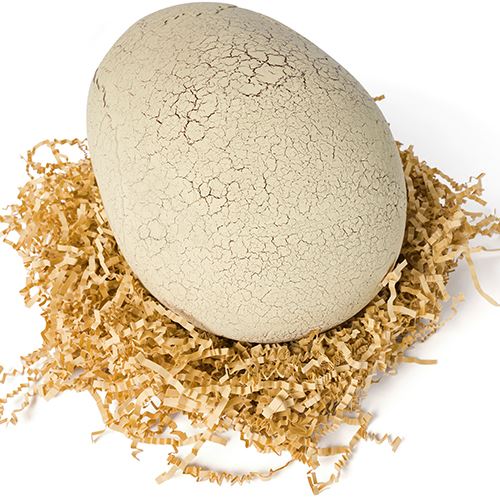 1520