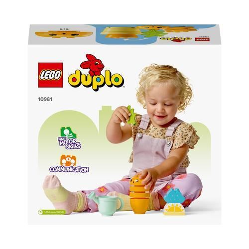 1543