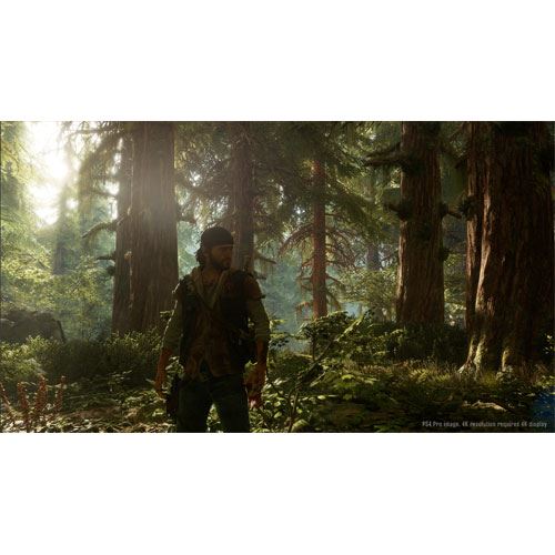 Days Gone - PS4