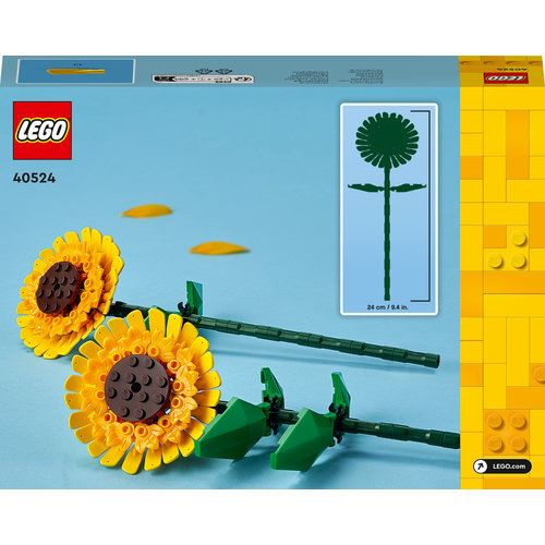 1520