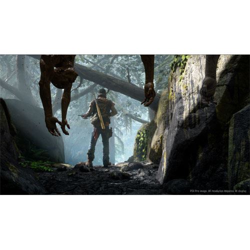 Days Gone - PS4