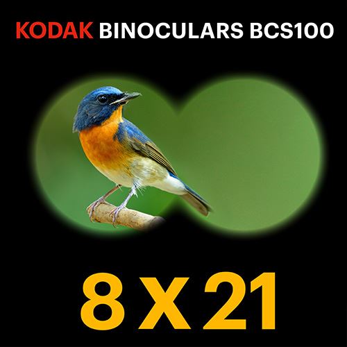 1520