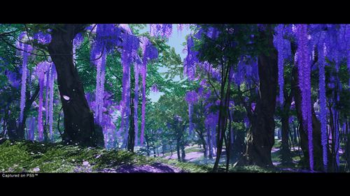 Ghost of Tsushima Director’s Cut  - PS5