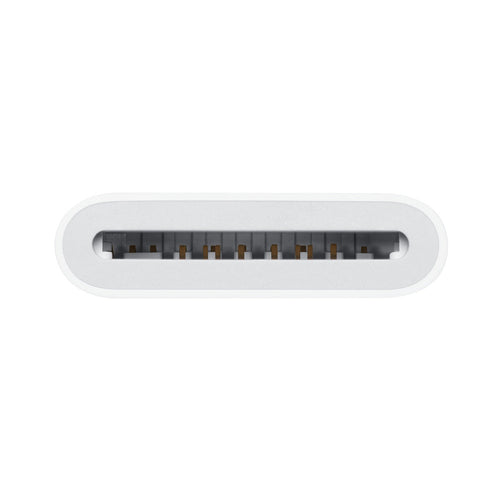 Leitor Cartões de Memória Apple SD / USB-C (MUFG2ZM/A)