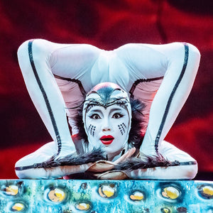 CIRQUE DU SOLEIL OVO