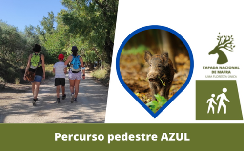 Percurso Pedestre Azul: 4,5 km