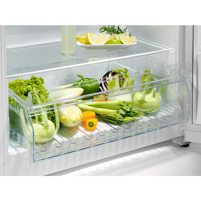 Frigorífico 1 Porta Zanussi ZRAN32FW 316L